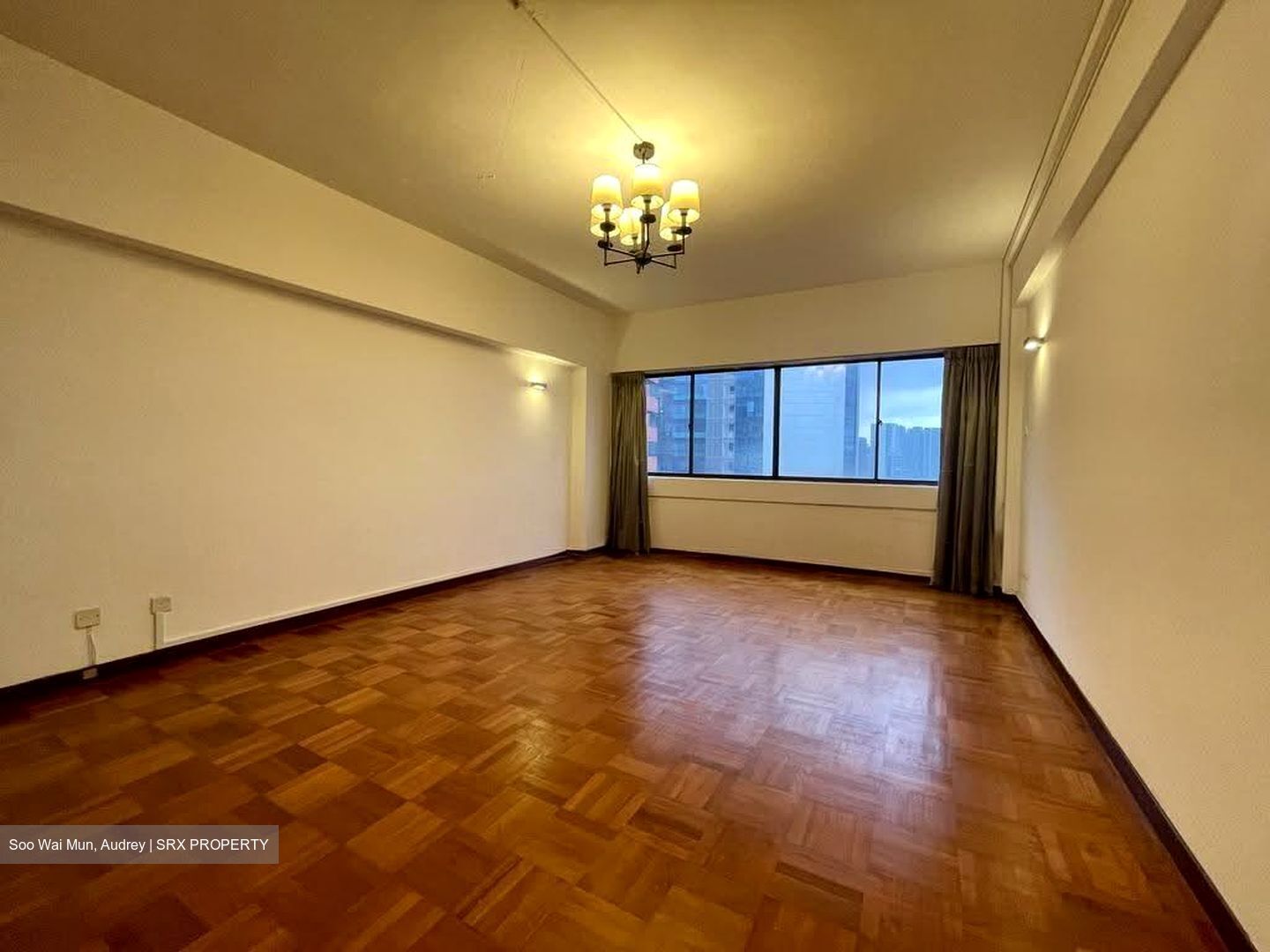 The Cairnhill (D9), Condominium #629703041